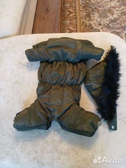 Одежда для собак мелких пород