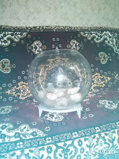 Аквариум для рыбок