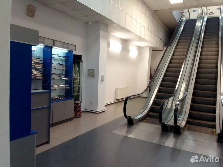 Профессиональная заточка ножей