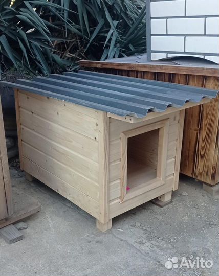 Собачья будка