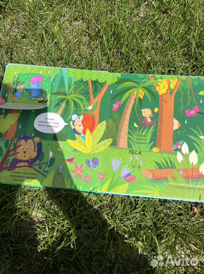 Развивающие книжки