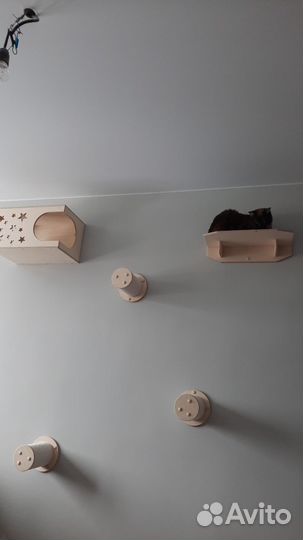 Игровой комплекс для кошек на стену