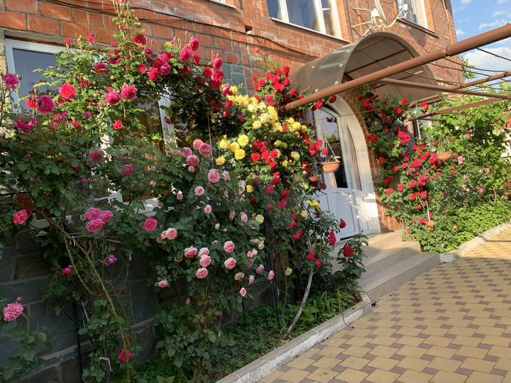 Комната 15 м², 1/2 эт.