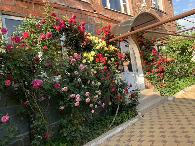 Комната 15 м², 1/2 эт.