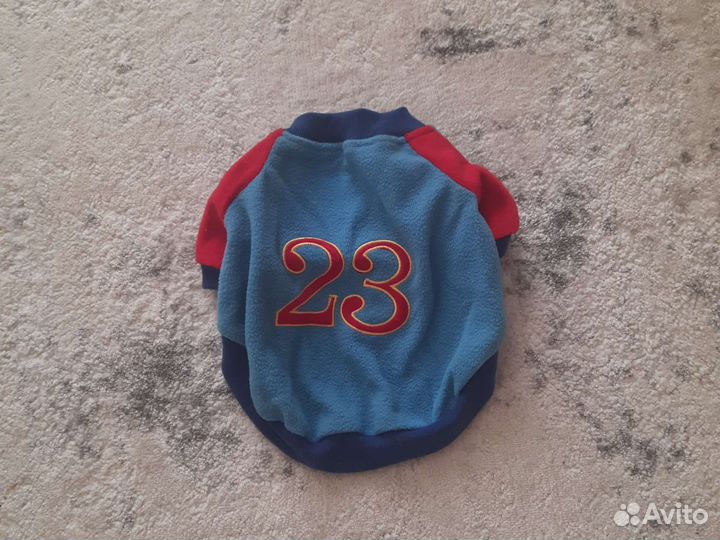 Одежда для собак мелких пород