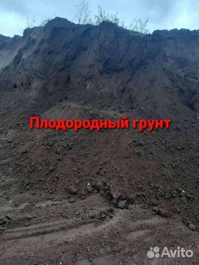 Земля плодородная, чернозём, торф