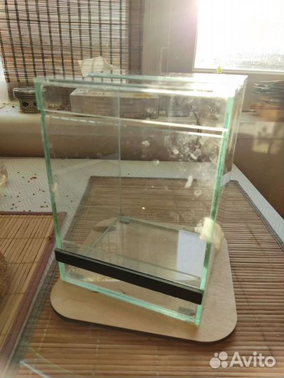 Аквариум для растений