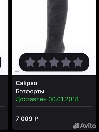 Сапоги ботфорты