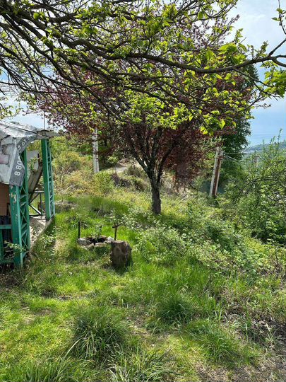 Участок 5 сот. (СНТ, ДНП)