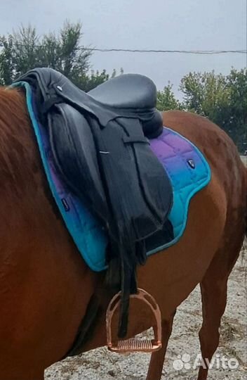 Седло для лошади конкурное