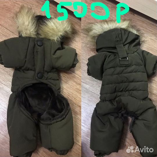 Одежда для маленьких собак