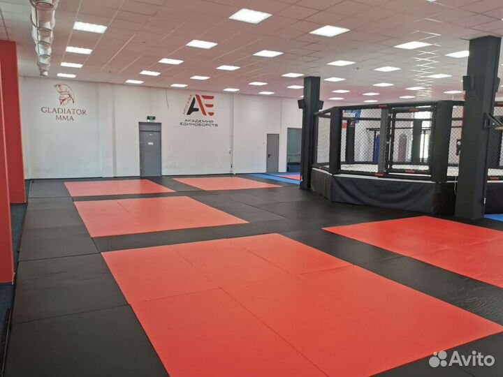 Аренда зала для единоборств