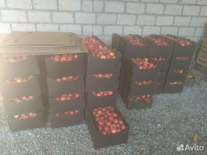 Яблоки Пинк леди, кал. 65+ (52 кор.), 55+ (20 кр)