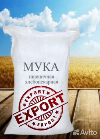 Мука ржаная обдирная экспорт