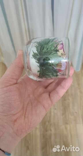 Цветы Роза стабилизированная