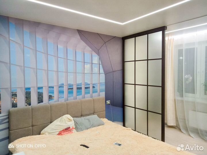 Дверь купе перегородка