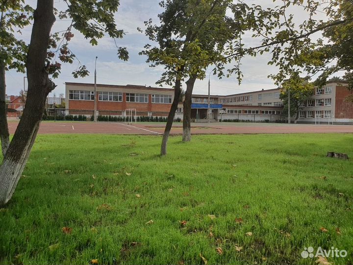 Семена газона