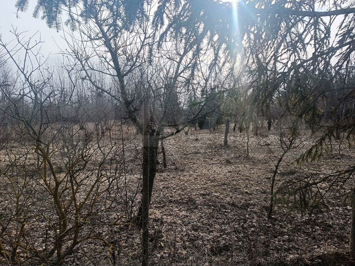 Участок 17 сот. (ИЖС)