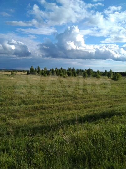 Участок 100 сот. (ИЖС)