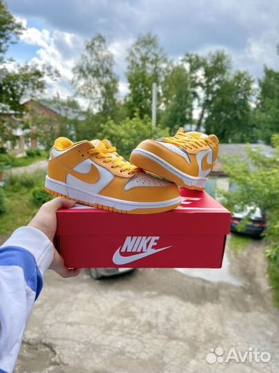 Кроссовки Nike SB Dunk Low Pro