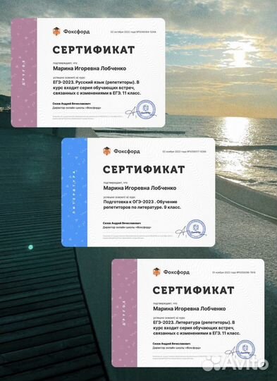 Репетитор русский, литература егэ огэ