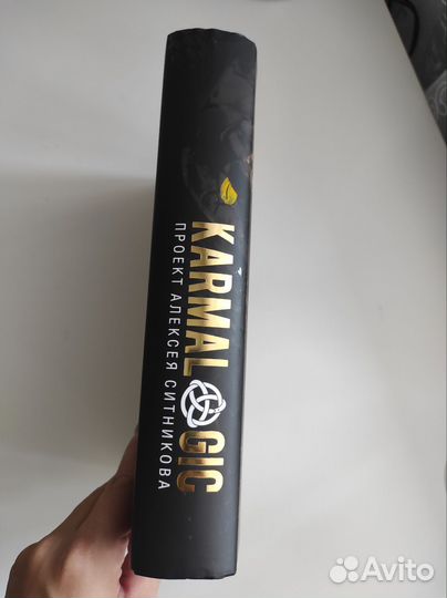 Полная версия Karmalogic, Алексей Ситников