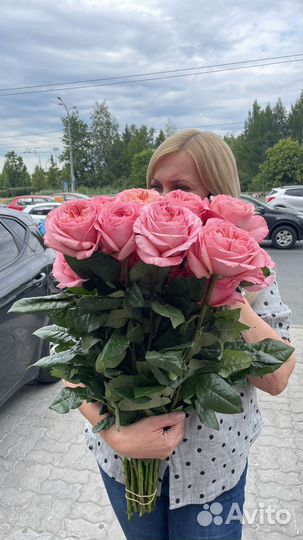 Розы Премиум класса, пионовидные. Цветы доставка