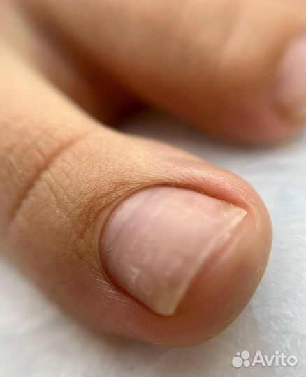 Маникюр педикюр