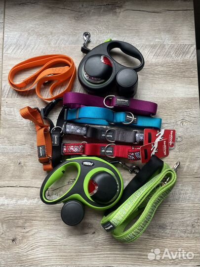 Амуниция для собак