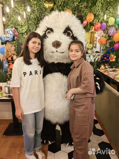 Аниматор Поздравление Панда