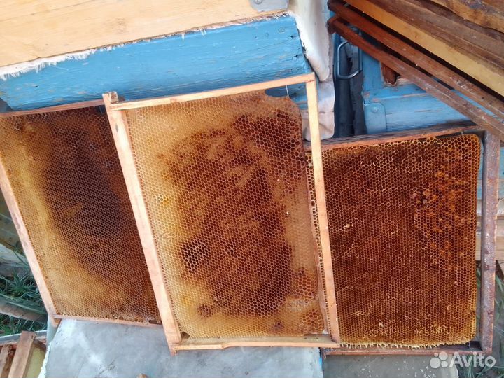 Рамки с вощиной