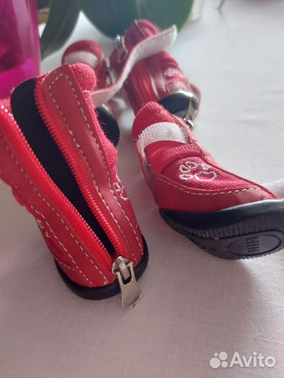 Ботинки для собак малеких пород