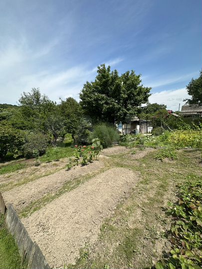 Дача 50 м² на участке 12 сот.