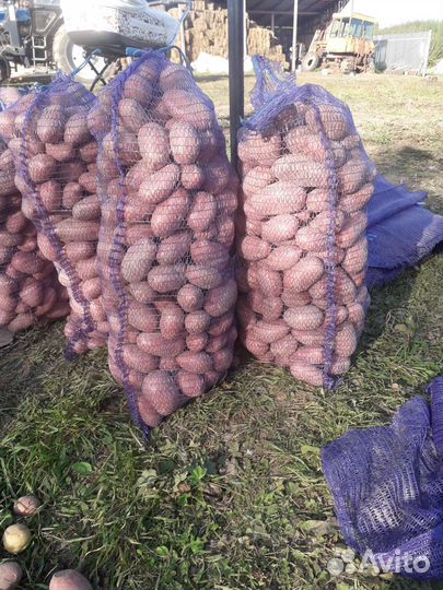 Инвестиции в сельское хозяйство