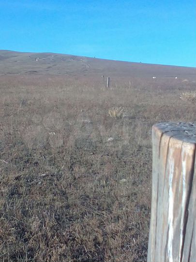 Участок 15 сот. (ИЖС)