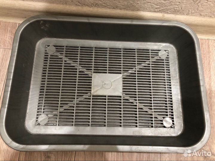 Лоток для котят