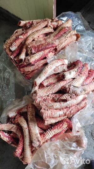 Корм для животных