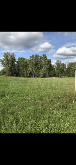 Участок 13 сот. (СНТ, ДНП)