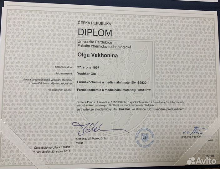 Репетитор чешского языка