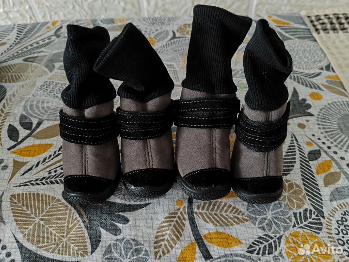 Сапожки для собак