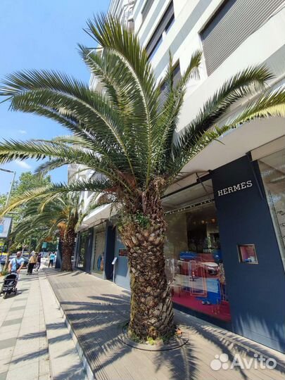 Поручения в странах Европы