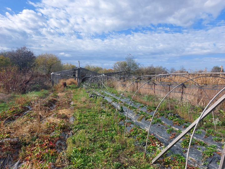 Дом 45,3 м² на участке 11,3 сот.