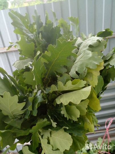 Банный веник