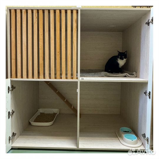 Зоогостиница Дом С Котом