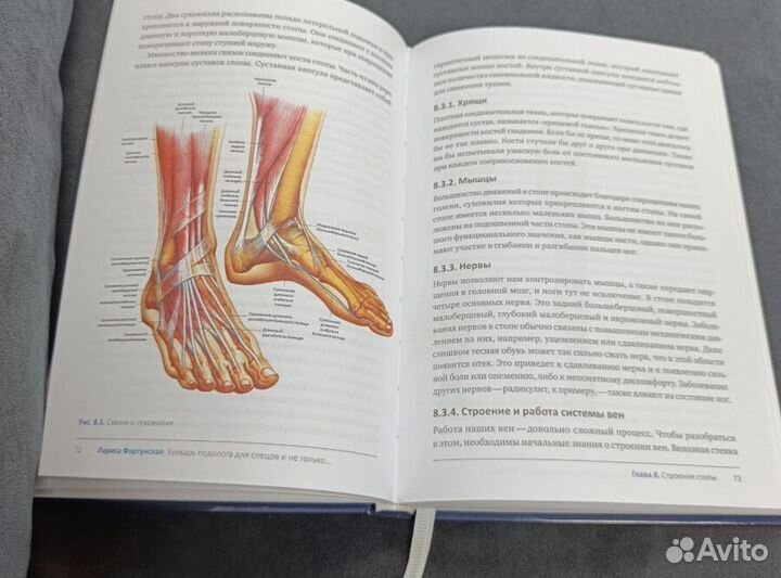 Букварь подолога для спецов и не только + словарь