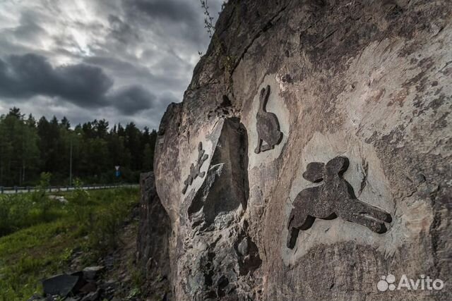 Долина зайцев + Кивач +Марциальные воды + Гирвас