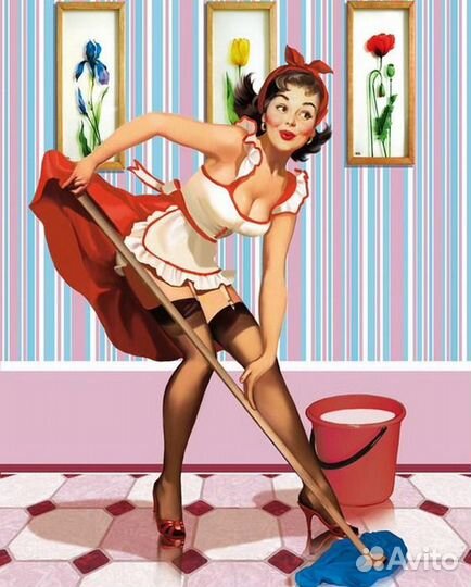 Профессиональная уборка квартир и домов и офисов