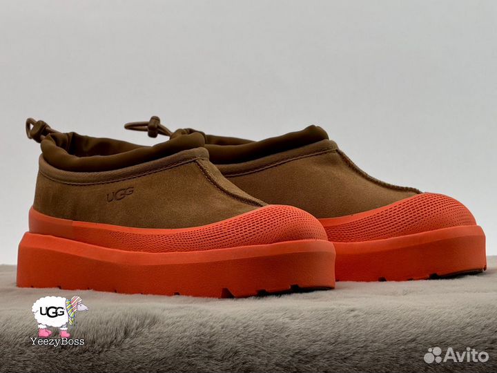 Кроссовки зимние женские Ugg Tasman Hybrid