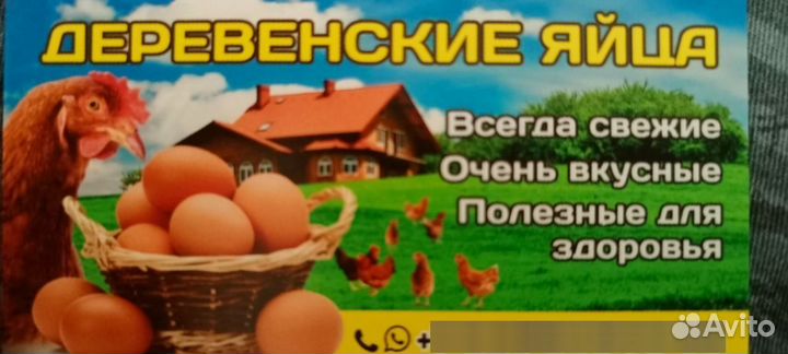 Домашние куриные яйца