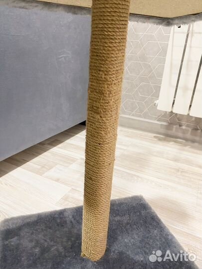 Когтеточка